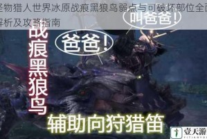怪物猎人世界冰原战痕黑狼鸟弱点与可破坏部位全面解析及攻略指南