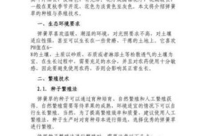 摩尔庄园手游下雨天能做的诸多事情大揭秘及详细攻略