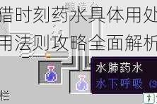 狩猎时刻药水具体用处及使用法则攻略全面解析