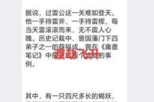忘仙渡劫全流程攻略掌握核心技巧轻松应对天雷考验顺利飞升仙界指南
