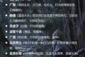 黑神话悟空云里雾雾里云双BOSS招式深度解析与实战打法技巧全攻略