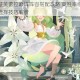 剑与远征芙蕾拉巅峰阵容搭配攻略 高胜率组合策略与英雄选择技巧解析