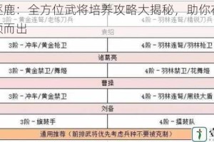 乱世逐鹿：全方位武将培养攻略大揭秘，助你在乱世中脱颖而出