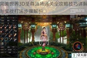 完美世界3D至尊道场通关全攻略技巧详解与实战打法步骤解析