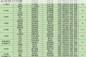 三国志战棋版群雄召唤流阵容搭配推荐：全面解析与实战技巧分享