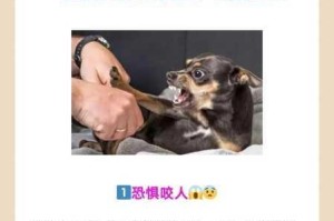 狗和人卡在一起怎么办？为什么会出现这种情况？如何避免？