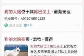 为什么找不到最新的中文字幕？这里有你想要的答案
