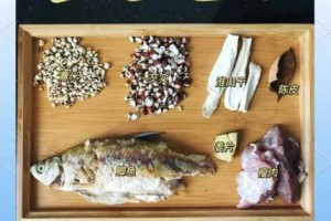 江湖悠悠养生鲜鱼汤古法秘制配方与家常烹饪技巧完整分享