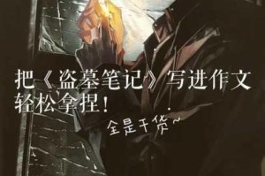 新盗墓笔记职业平衡性深度解析与优化策略探讨