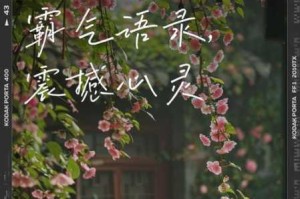 战神重返尘世众生默然 王者大陆神迹复苏却陷无声荒芜