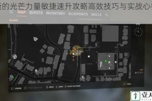 消逝的光芒力量敏捷速升攻略高效技巧与实战心得分享