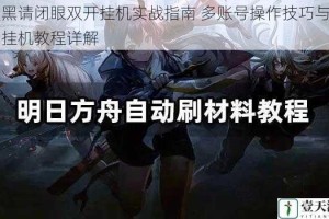 天黑请闭眼双开挂机实战指南 多账号操作技巧与自动挂机教程详解