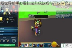 宝藏世界新手必看快速升级技巧与高效冲级步骤详解