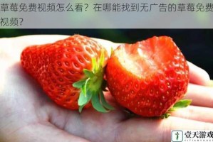 草莓免费视频怎么看？在哪能找到无广告的草莓免费视频？