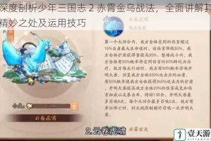 深度剖析少年三国志 2 赤霄金乌战法，全面讲解其精妙之处及运用技巧