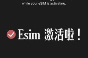 全面剖析 Esim 赚钱方法及战斗技巧，助你轻松斩获财富