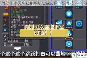 元气骑士小天狗技能解析实战应用与培养技巧全攻略