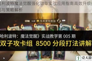 哈利波特魔法觉醒强化勋章实战应用指南高效升级技巧与策略解析