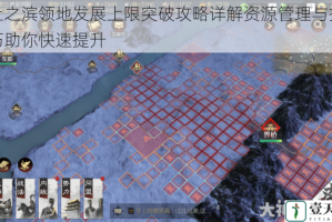 率土之滨领地发展上限突破攻略详解资源管理与扩张技巧助你快速提升