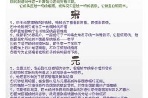 探寻白银风怒圣银石的奥秘：从历史到现代的全面解读与应用探索