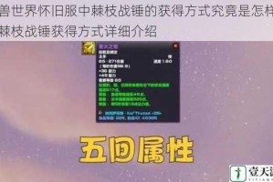 魔兽世界怀旧服中棘枝战锤的获得方式究竟是怎样的？棘枝战锤获得方式详细介绍