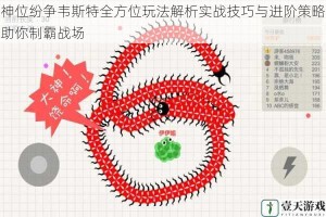 神位纷争韦斯特全方位玩法解析实战技巧与进阶策略助你制霸战场