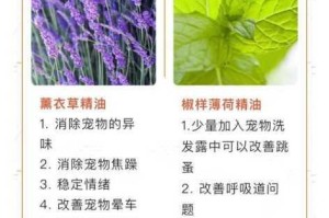 弹壳特攻队宠物降品攻略大揭秘：详细步骤与实用技巧