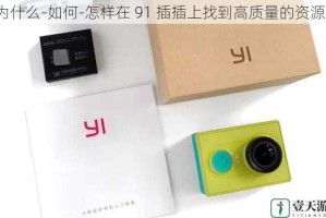 为什么-如何-怎样在 91 插插上找到高质量的资源？