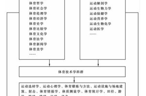 艾特足球：全方位解析如何有效培养球员技能？