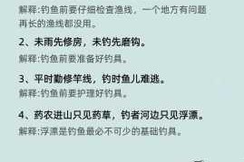 致力于打造涵盖全球的顶尖世界钓鱼技巧，引领钓鱼新潮流