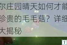 摩尔庄园晴天如何才能获得珍贵的毛毛菇？详细攻略大揭秘