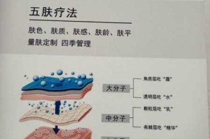 王者荣耀 2018 王者知道：王昭君凤凰于飞皮肤中医技能特效的颜色究竟是什么？