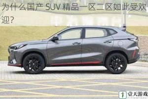 为什么国产 SUV 精品一区二区如此受欢迎？