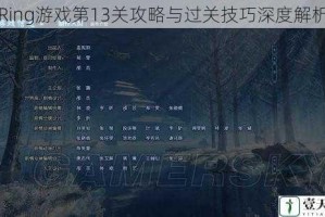 Ring游戏第13关攻略与过关技巧深度解析