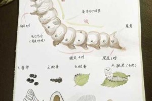 爱神花园中蚕茧的合成方式究竟是怎样的？蚕茧合成方法全解析