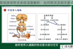 黎明游侠附灵系统深度解析：如何附灵及相关要点