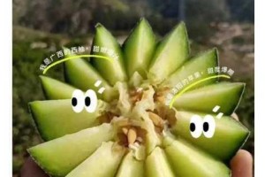 海角每日吃瓜网—海角每日吃瓜网：聚焦各类网络热点资讯
