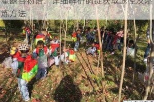 星露谷物语：详细解析铜锭获取途径及熔炼方法