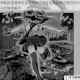 邪魅南瓜套限时返场失落城堡万圣夜惊魂主题回归时间全情报解析