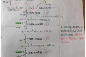 PSP海贼王冒险的黎明：合成与支线地图详解全攻略呈现