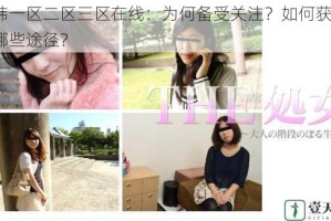 日韩一区二区三区在线：为何备受关注？如何获取？有哪些途径？