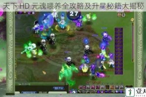 天下 HD 元魂喂养全攻略及升星秘籍大揭秘