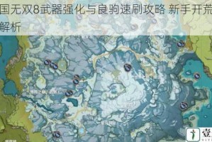 真三国无双8武器强化与良驹速刷攻略 新手开荒技巧全面解析