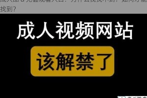 成人品 a 无套观看入口：为什么我找不到？如何才能找到？