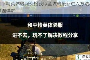 和平精英体验服资格获取全攻略最新进入方法与步骤详解