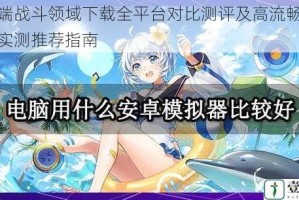 电脑端战斗领域下载全平台对比测评及高流畅度模拟器实测推荐指南