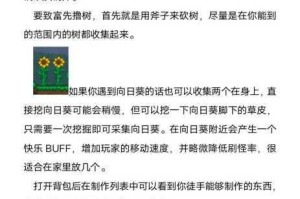 泰拉瑞亚极限攻速终极配装方案与高效输出配置完全指南