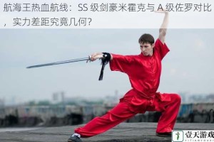 航海王热血航线：SS 级剑豪米霍克与 A 级佐罗对比，实力差距究竟几何？