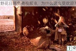 野花日韩免费视频 8，为什么这么受欢迎？