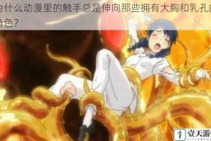 为什么动漫里的触手总是伸向那些拥有大胸和乳孔的角色？